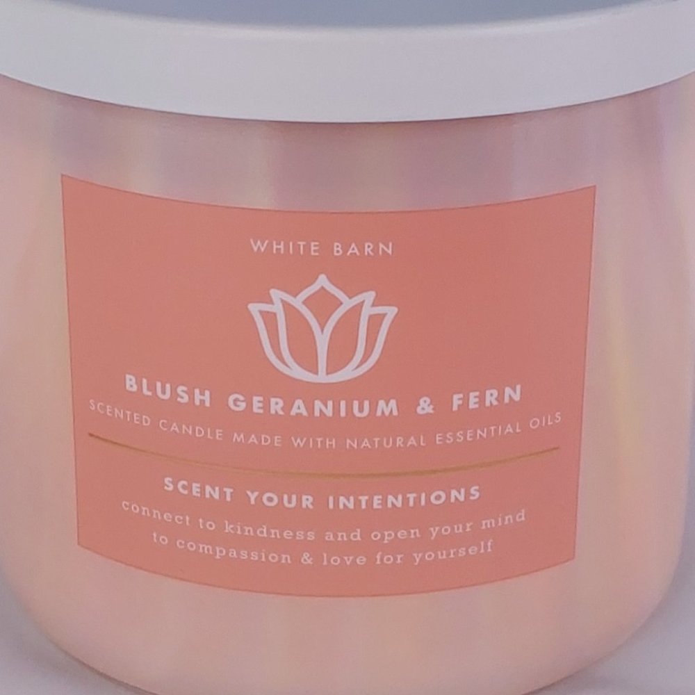 BATH & BODY WORKS 'SCENT YOUR INTENTIONS' 'BLUSH GERANIUM & FERN' IRIDESCENT - Picture 11 of 12